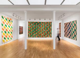 Claude Viallat : Hommage à la couleur, toiles 1966-2023 chez Templon