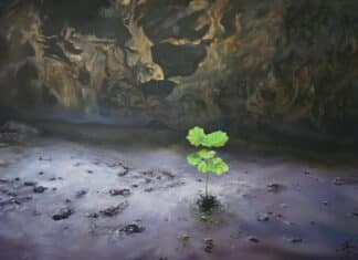 Call the Wild à la Galerie Sabine Bayasli