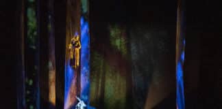 Le Songe d’une nuit d’été par Emmanuel Demarcy-Mota : un rêve éveillé au Théâtre de la Ville Bottom dans le Songe d'une nuit d'été