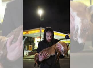 Retour du festival Orléanais : Soli au CNDO Val de Loire