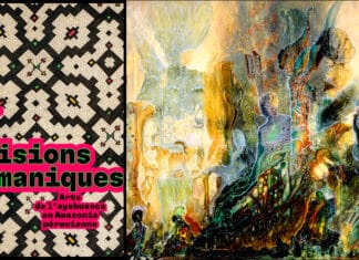 Venir planer au Musée du Quai Branly-Jacques Chirac avec l’exposition Visions chamaniques. Arts de l’ayahuasca en Amazonie péruvienne