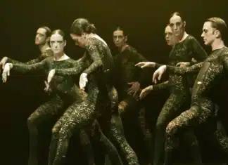 Critique : Into The Hairy de Sharon Eyal