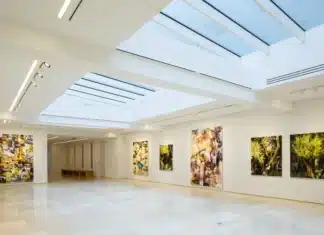 La Galerie Nathalie Obadia expose Carole Benzaken