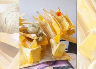 100% L’Expo à la Grande Halle de La Villette