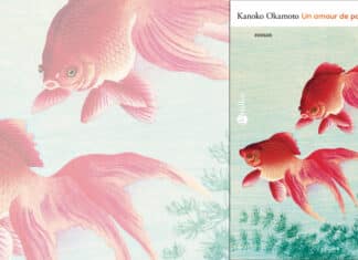 Un amour de poisson rouge de Kanako Okamoto