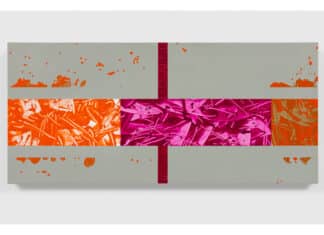 David Reed à la Galerie Nathalie Obadia avec « Whirlpool »