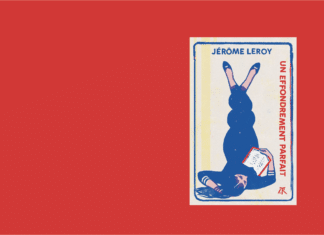 « Un effondrement parfait » de Jérôme Leroy – Loin de la zombielangue
