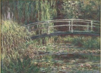 « Dans le flou » au Muséede l’Orangerie. Journal d’un flou…