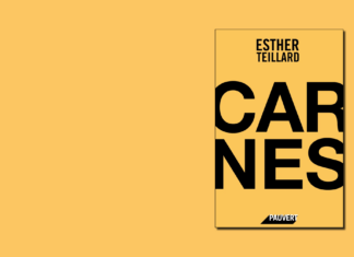 Une artiste perdue, un auteur trouvé – Carnes, d’Esther Teillard