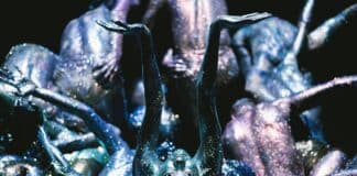 Le Mirage de Damien Jalet et Kohei Nawa au Grand Théâtre de Genève