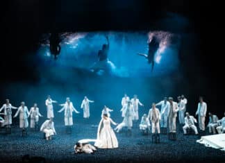 Le paradis oublié de Schumann