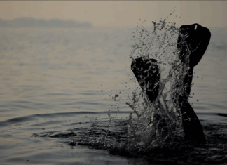 Les sentiments océaniques des artistes avec Time for the Ocean