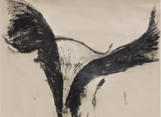 Les aubes peintes de Laubiès