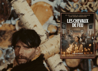 L’homme à la caméra