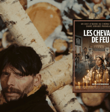 L’homme à la caméra