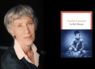 Sélection Goncourt – « Le Bel Obscur » de Caroline Lamarche