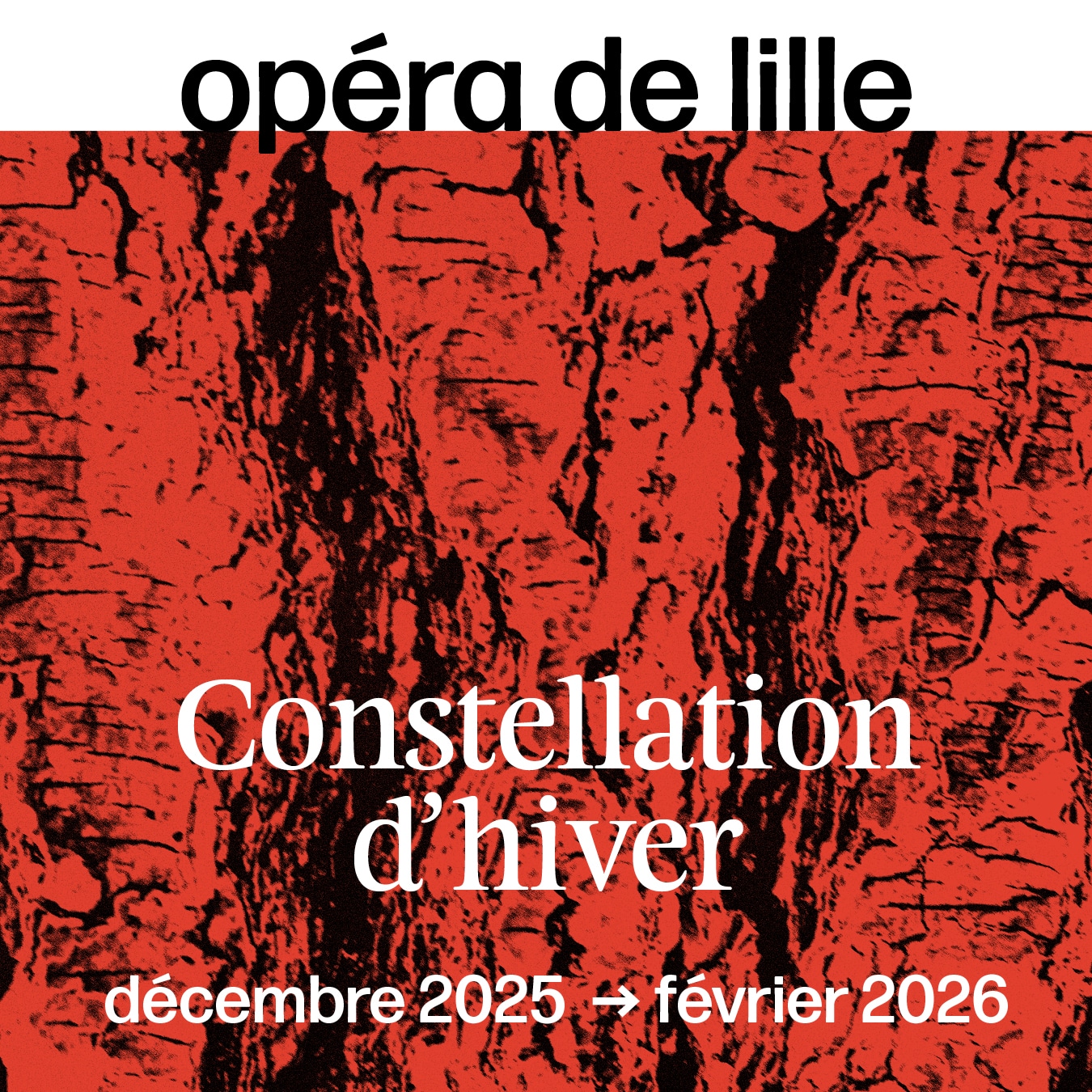 OpéraLilleConstellationsHiver