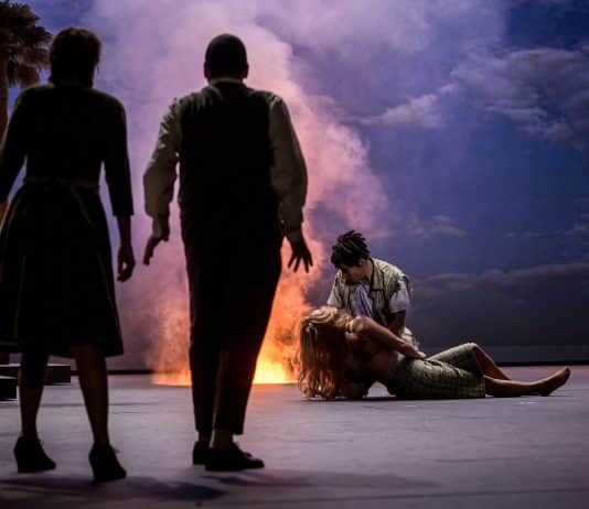 Le beau retour de Robinson au Théâtre des Champs-Elysées