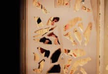 « Willy Protagoras » de Wajdi Mouawad à la Colline : Affreux, sales et marrants