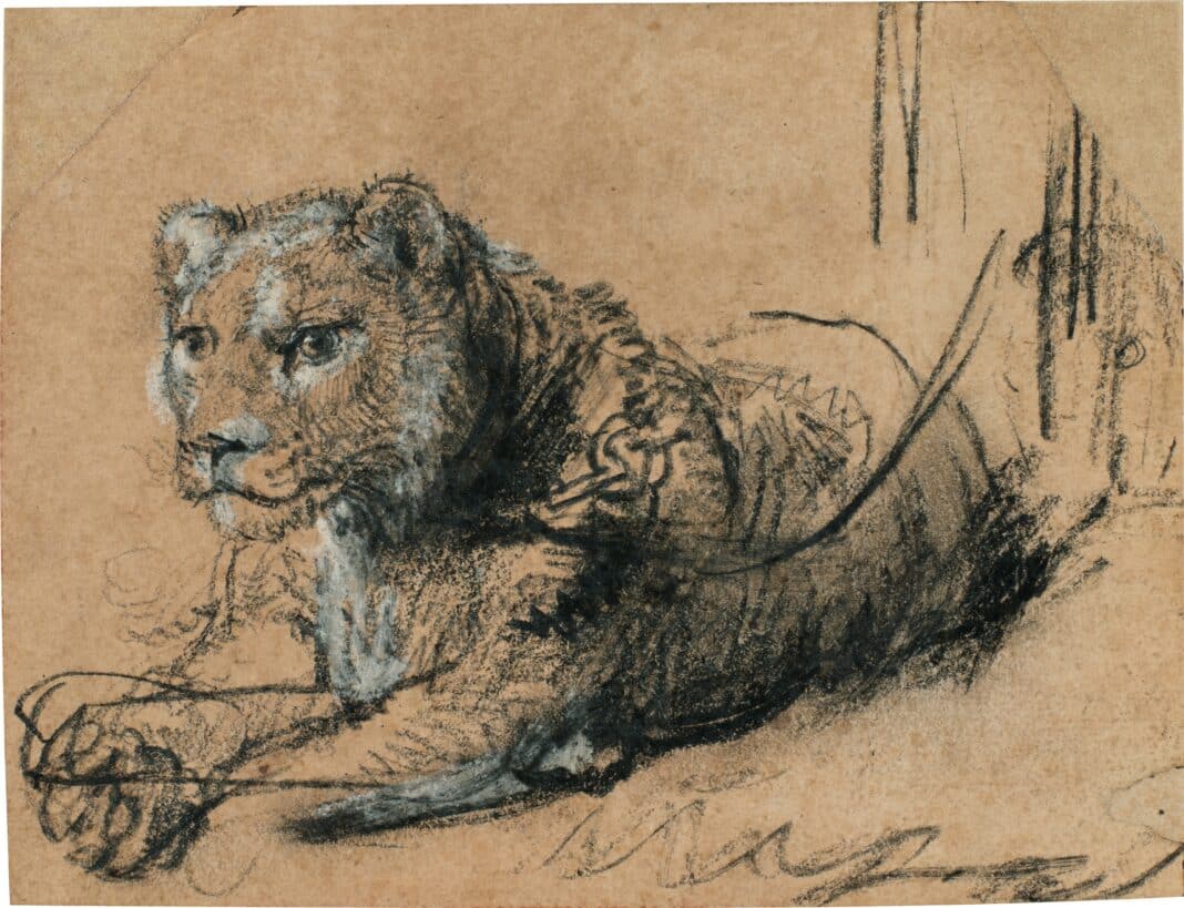 Rembrandt Harmensz. van Rijn, Young Li on Resting, ca. 1638–42, Black chalk with white chalk heightening and grey wash on brown laid paper, 115 x 150 mm