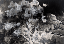 Drawing now : Dessine-moi une belle foire