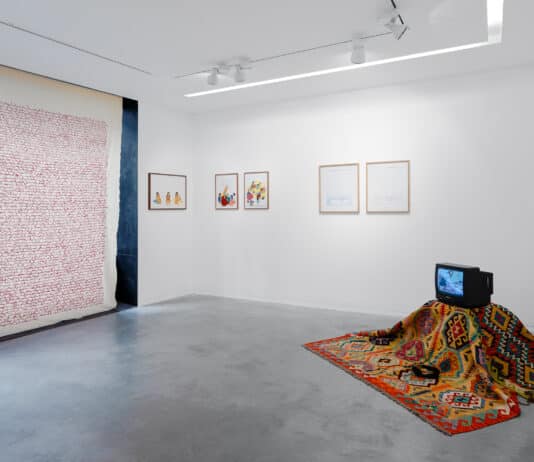 Le souffle créatif des Hazaras