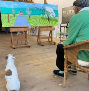 David Hockney : « Il faut apprendre à regarder »