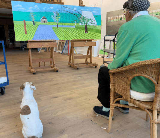 David Hockney : « Il faut apprendre à regarder »
