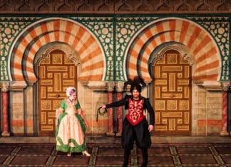Mozart dans la langue de Molière