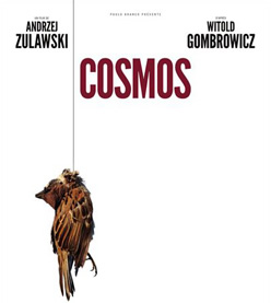 cosmos