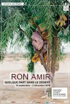 ron amir